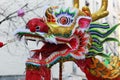 Dragon nouvel an chinois in France Royalty Free Stock Photo